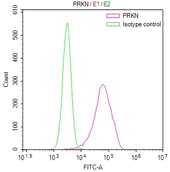 PRKN Antibody
