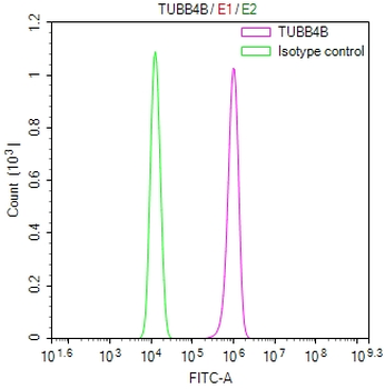 TUBB4B/TUBB2A/TUBB2B Antibody