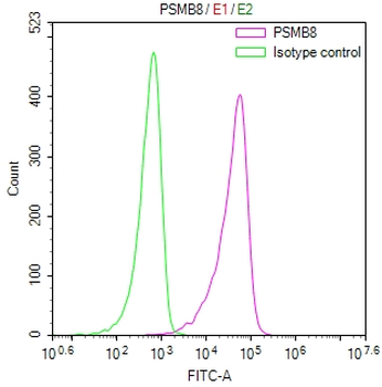 PSMB8 Antibody