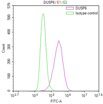 DUSP6 Antibody