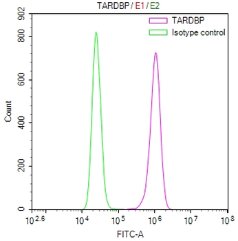 TARDBP Antibody