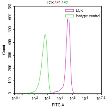 LCK Antibody
