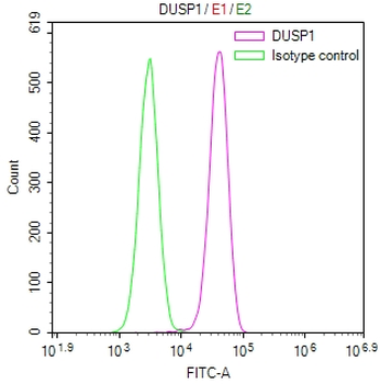 DUSP1 Antibody