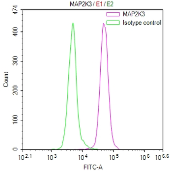 MAP2K6/MAP2K3 Antibody
