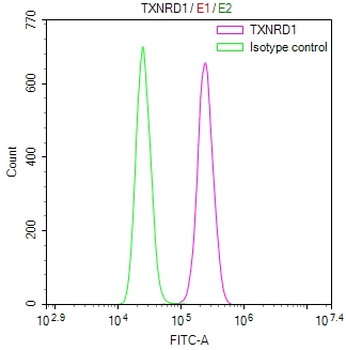 TXNRD1 Antibody
