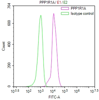 PPP1R1A Antibody