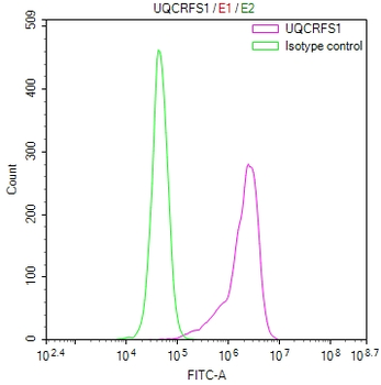 UQCRFS1 Antibody