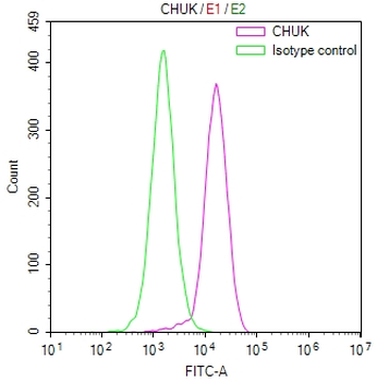 CHUK Antibody