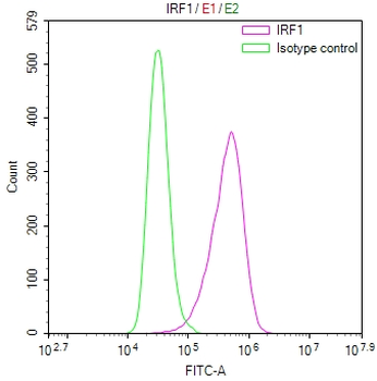 IRF1 Antibody