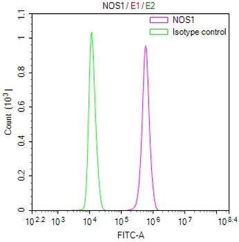 NOS1 Antibody