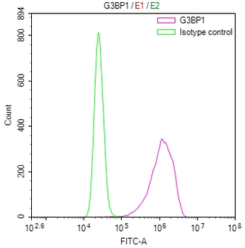 G3BP1 Antibody
