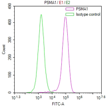 PSMA1 Antibody