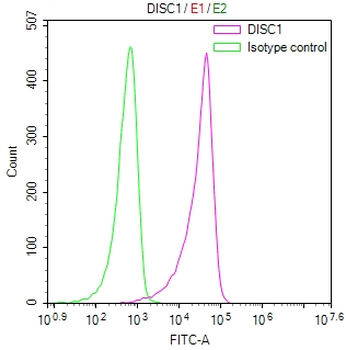 DISC1 Antibody