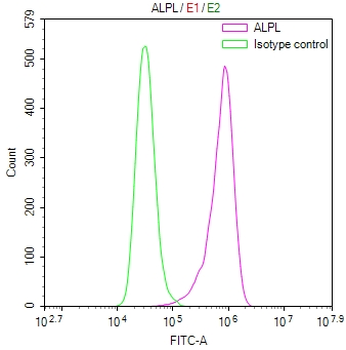 ALPL Antibody