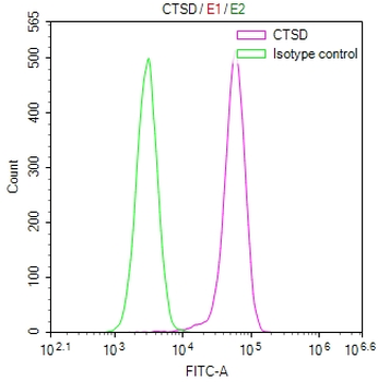 CTSD Antibody