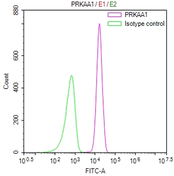PRKAA1 Antibody