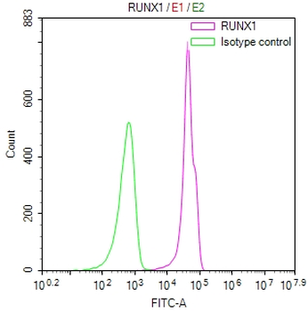RUNX3/RUNX2/RUNX1 Antibody
