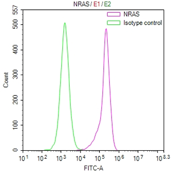 HRAS/KRAS/NRAS Antibody