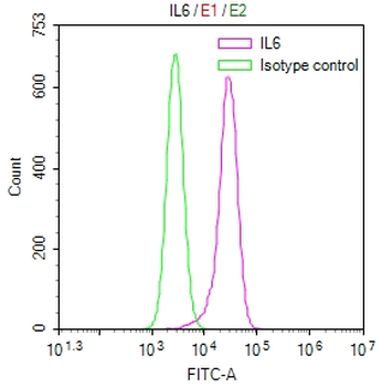IL6 Antibody