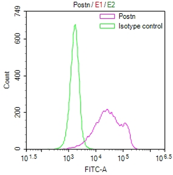POSTN Antibody