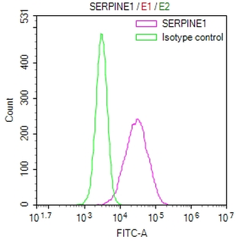 SERPINE1 Antibody