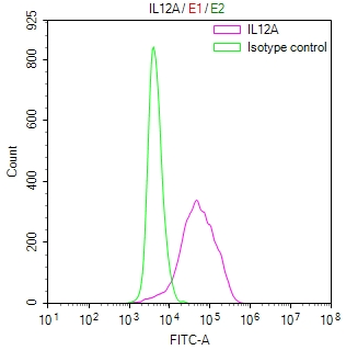 IL12A Antibody