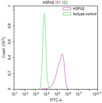 HSPA8 Recombinant Monoclonal Antibody