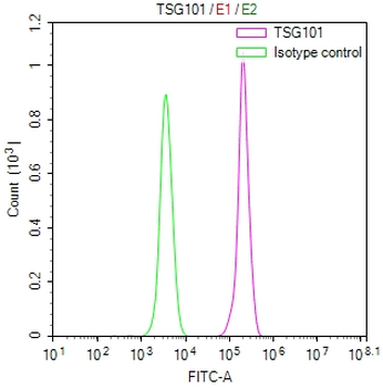 TSG101 Antibody