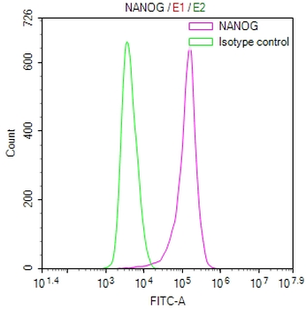 NANOG Antibody