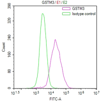 GSTM3 Antibody