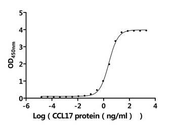 CCL17 Antibody