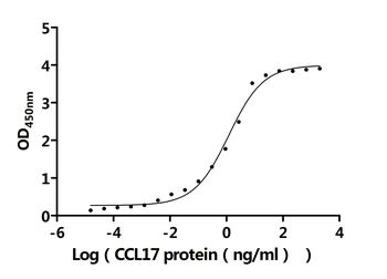 CCL17 Antibody