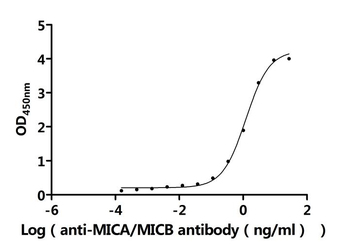 MICA/B Antibody