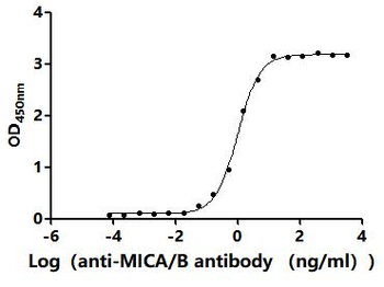 MICA/B Antibody