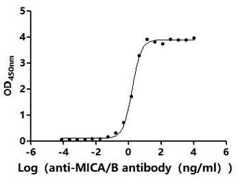 MICA/B Antibody