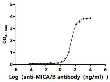 MICA/B Antibody