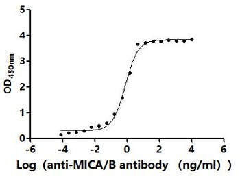 MICA/B Antibody