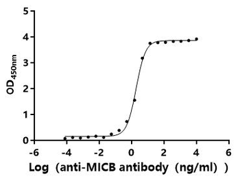 MICA/B Antibody