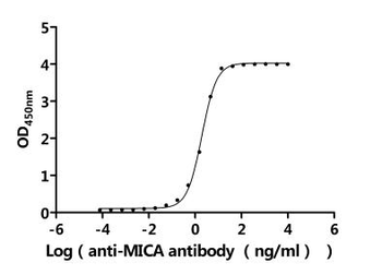 MICA/B Antibody