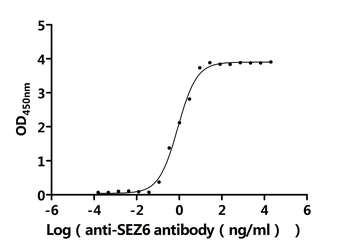 SEZ6 Antibody