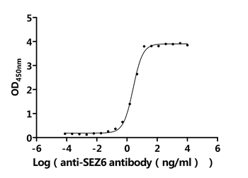 SEZ6 Antibody