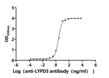 LYPD3 Antibody