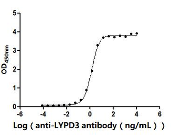 LYPD3 Antibody