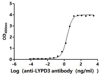 LYPD3 Antibody