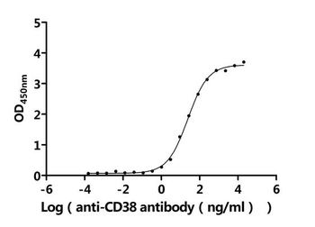CD38 Antibody