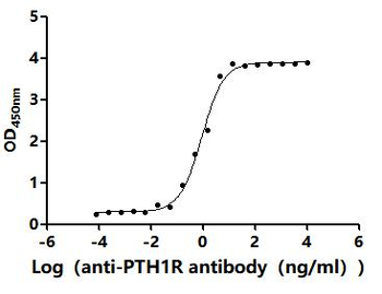 PTH1R Antibody