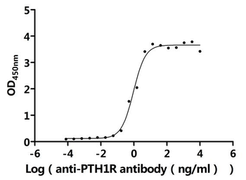 PTH1R Antibody