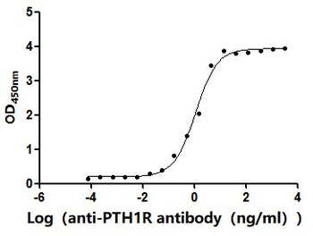 PTH1R Antibody
