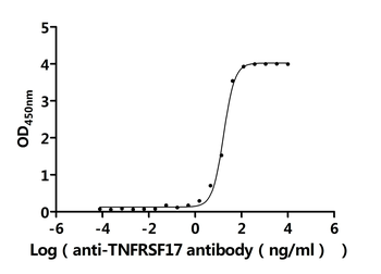 Recombinant Human Tumor necrosis factor receptor superfamily member 17 (TNFRSF17), partial (Active)