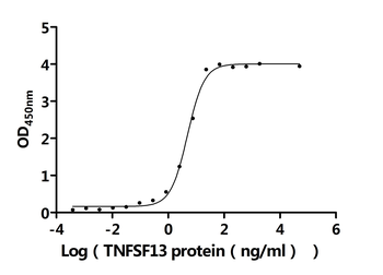 Recombinant Human Tumor necrosis factor receptor superfamily member 17 (TNFRSF17), partial (Active)